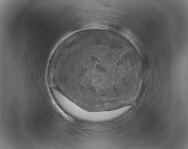 X0000082941379200702152203