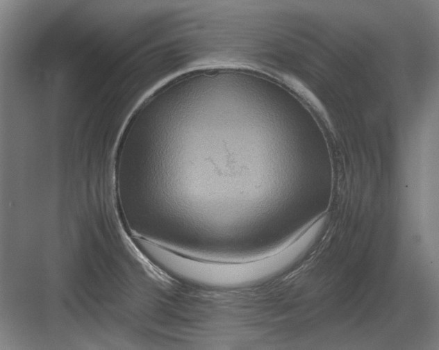 X0000082941380200702152203