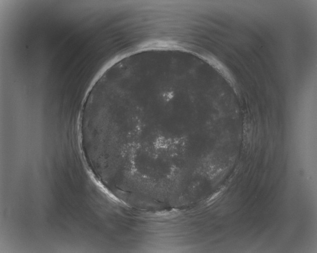 X0000082941382200702152203