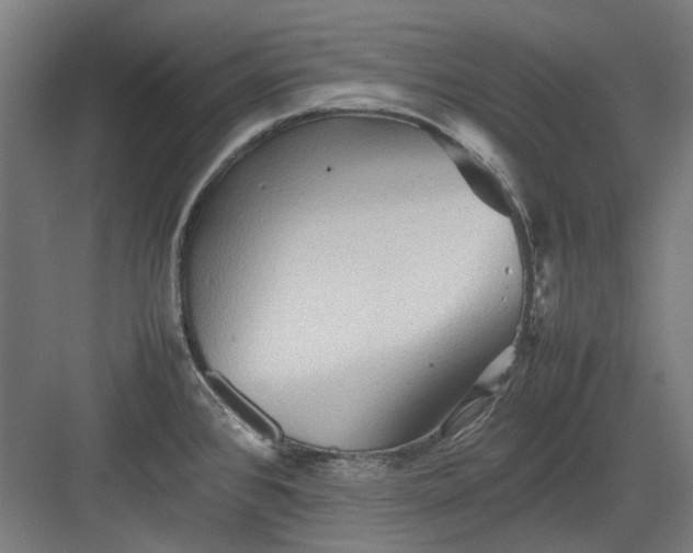 X0000082941384200702152203