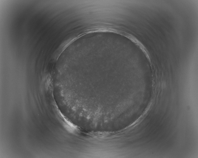 X0000082941385200702152203