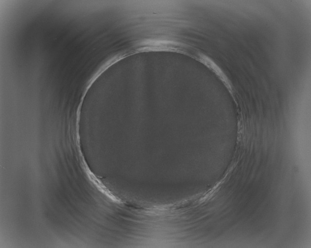 X0000082941386200702152203