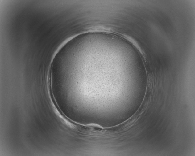 X0000082941387200702152202