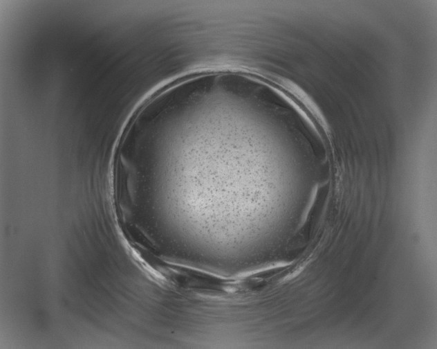 X0000082941388200702152202