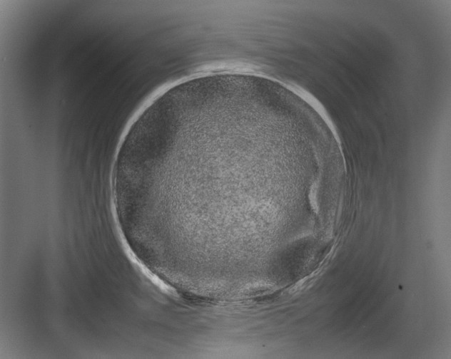 X0000082941389200702152202