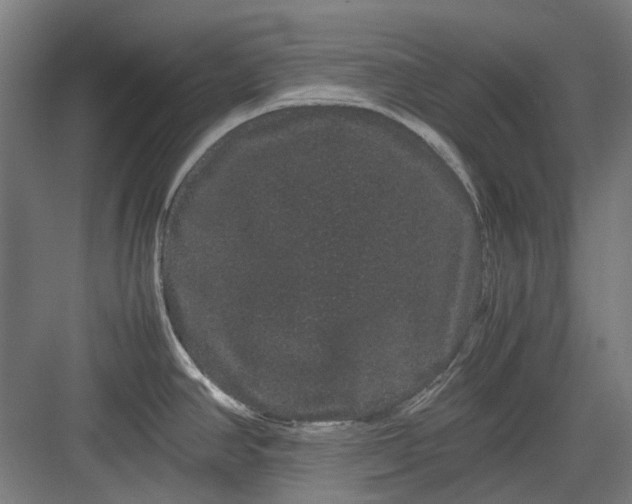 X0000082941390200702152202