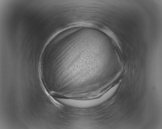 X0000082941391200702152202