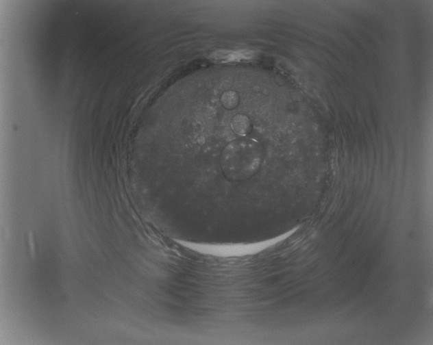 X0000082941393200702152202