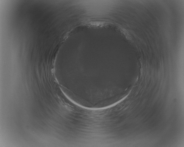 X0000082941394200702152202