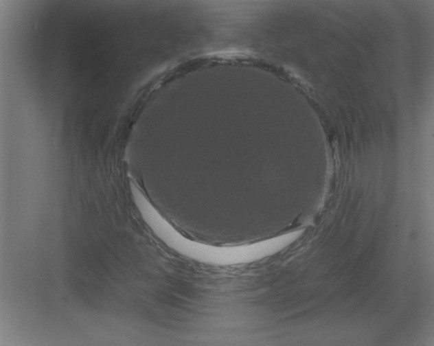 X0000082941398200702152202