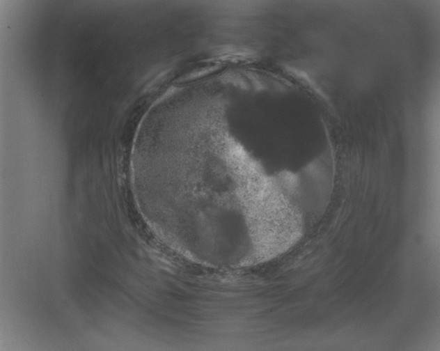 X0000082941399200702152202