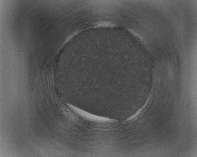 X0000082941401200702152202