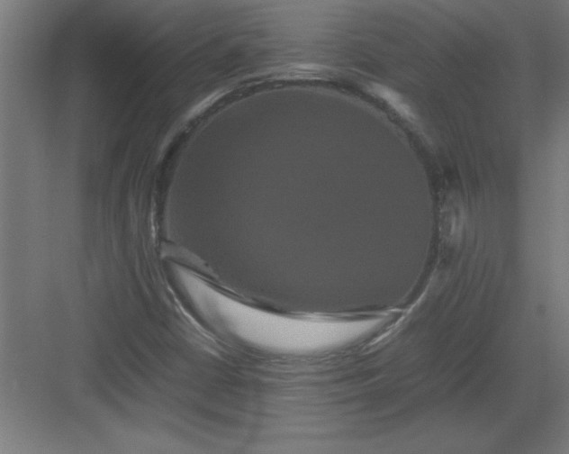 X0000082941402200702152202