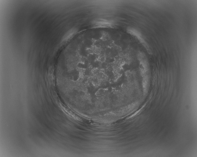 X0000082941403200702152202