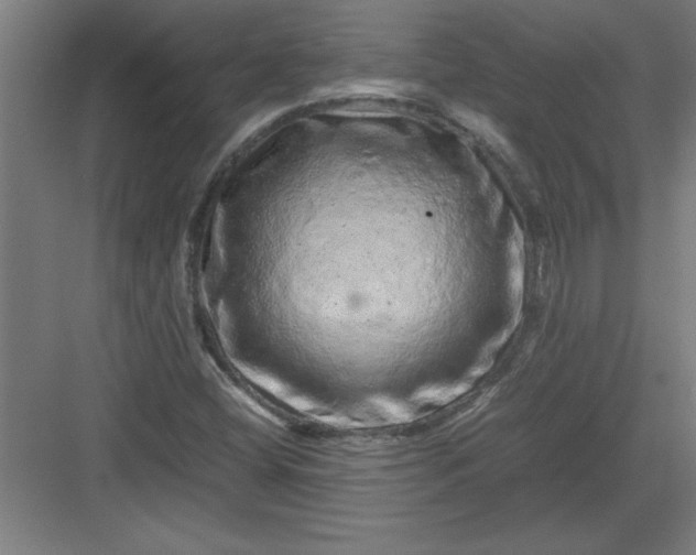 X0000082941404200702152202