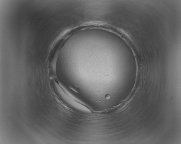 X0000082941406200702152202