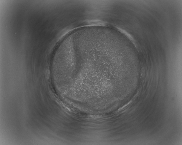 X0000082941407200702152202