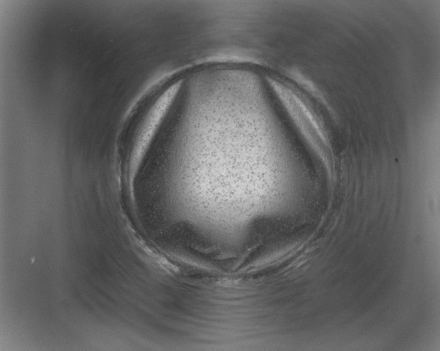 X0000082941408200702152202