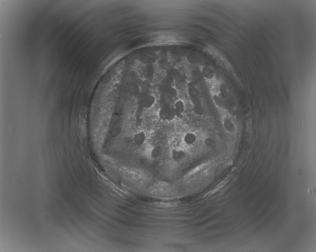 X0000082941409200702152202