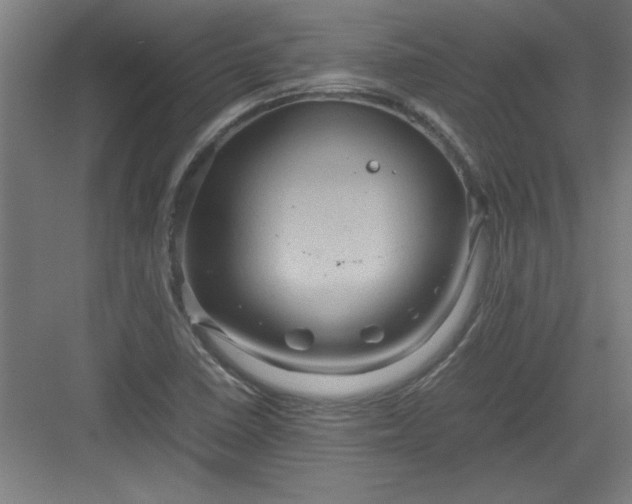 X0000082941410200702152202