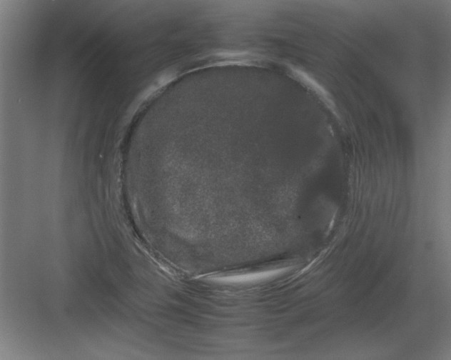 X0000082941411200702152202