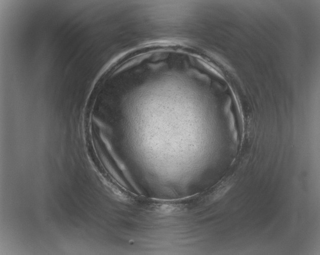 X0000082941412200702152202