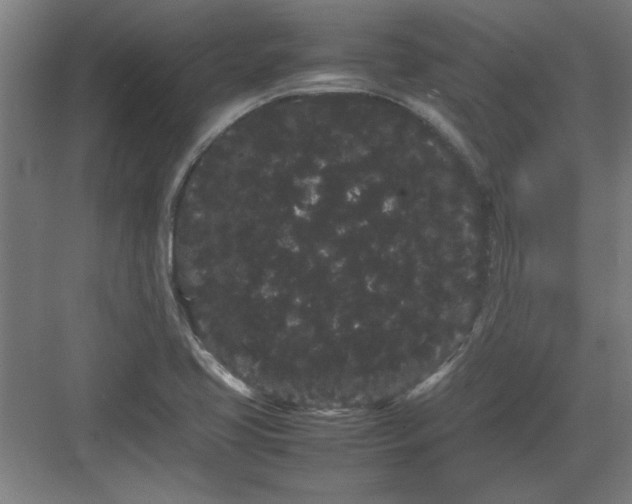 X0000082941413200702152202