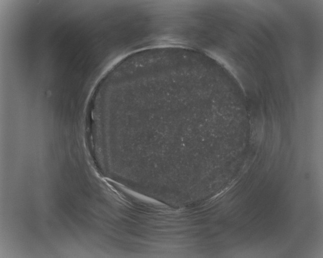 X0000082941415200702152202