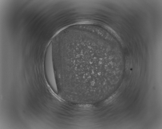 X0000082941417200702152202