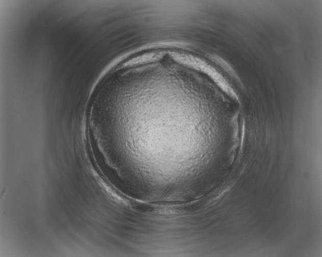 X0000082941420200702152202