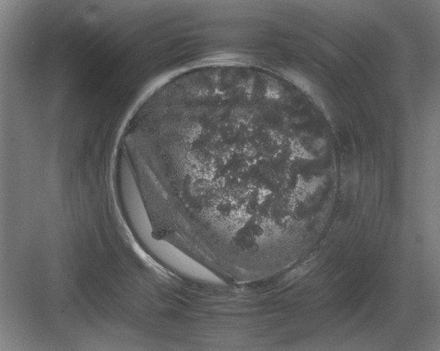 X0000082941421200702152202