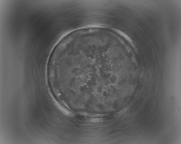 X0000082941423200702152202