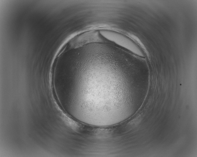 X0000082941424200702152202