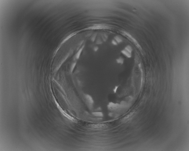 X0000082941425200702152202