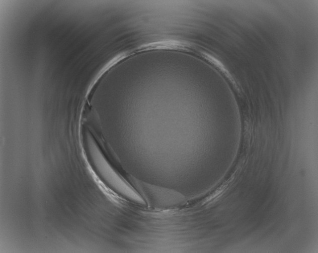 X0000082941426200702152202