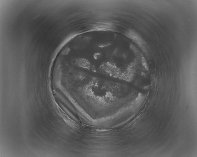 X0000082941427200702152202