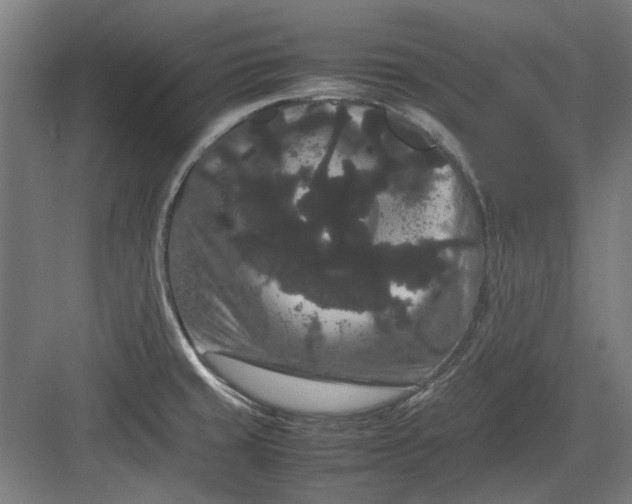 X0000082941429200702152202