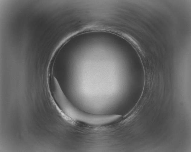 X0000082941430200702152202