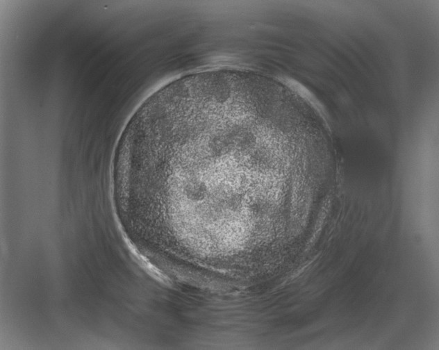 X0000082941431200702152202