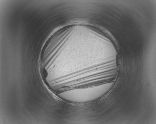 X0000082941432200702152202