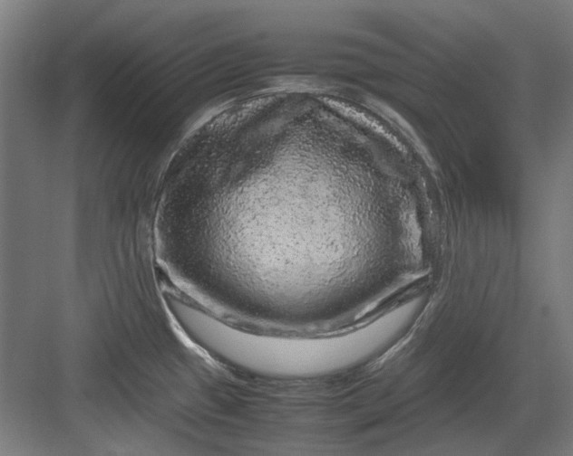 X0000082941433200702152202