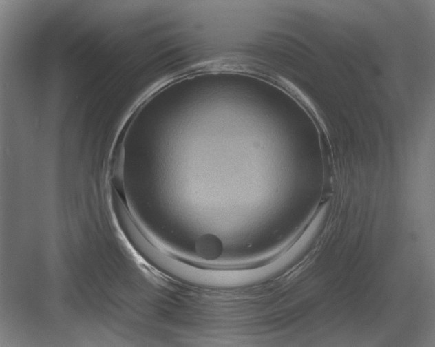 X0000082941434200702152202