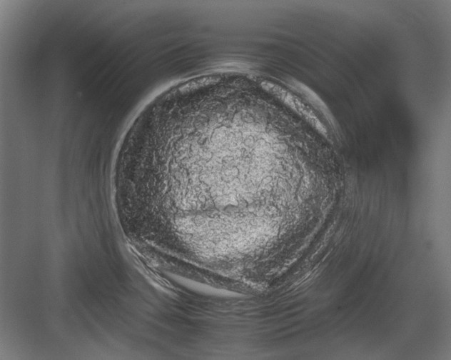 X0000082941435200702152202