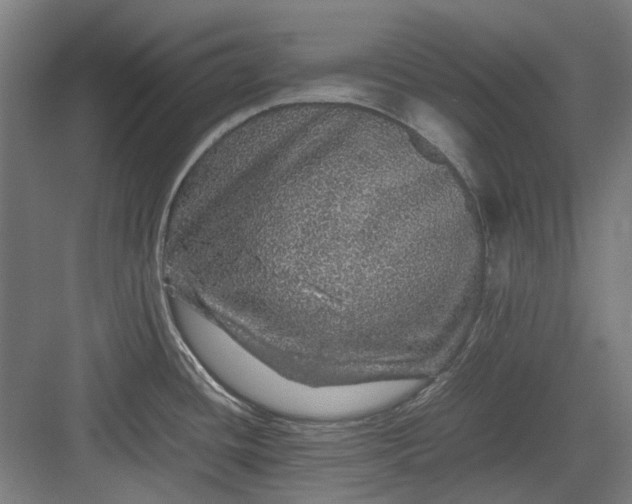 X0000082941436200702152202