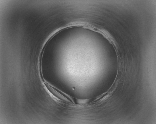 X0000082941438200702152202