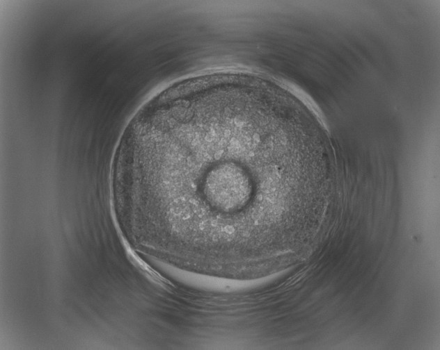 X0000082941439200702152202