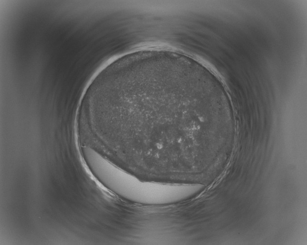 X0000082941440200702152202