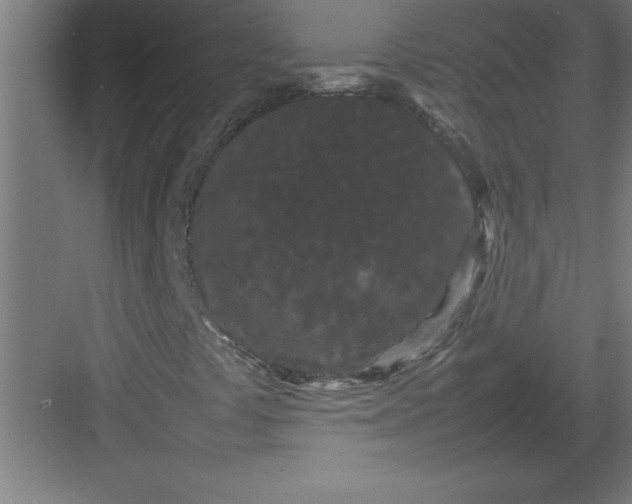 X0000082941441200702152202