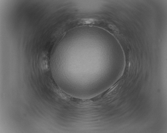 X0000082941442200702152202