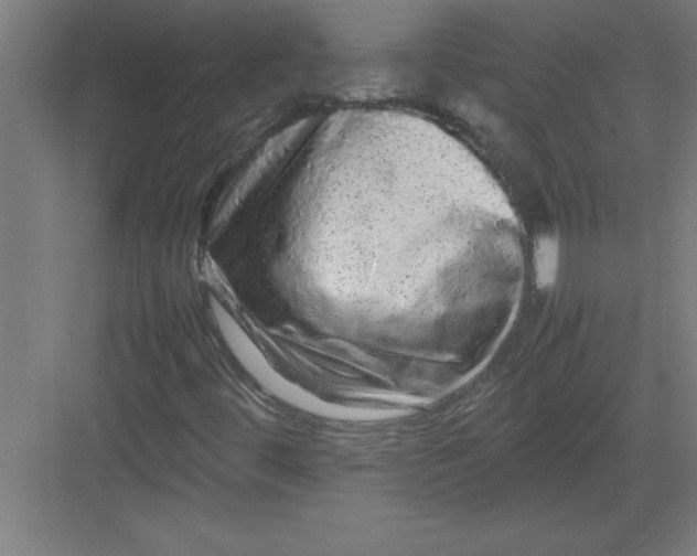 X0000082941444200702152202